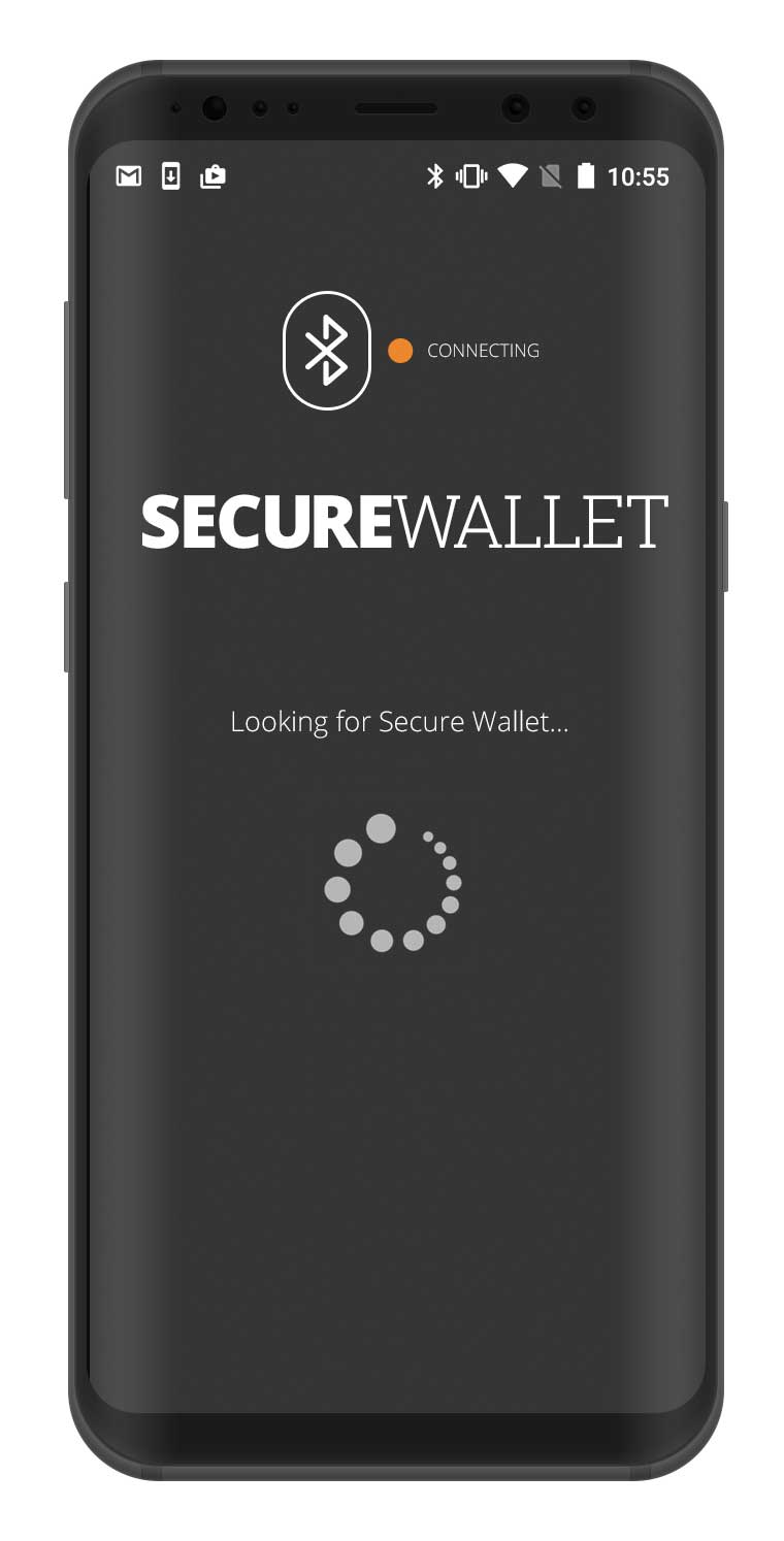 Secure Wallet Setup Guide